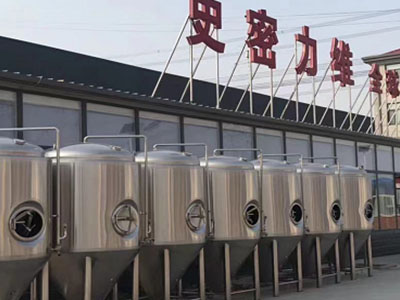 镇远精酿啤酒设备厂—如何判断精酿啤酒设备的密封件需要更换？